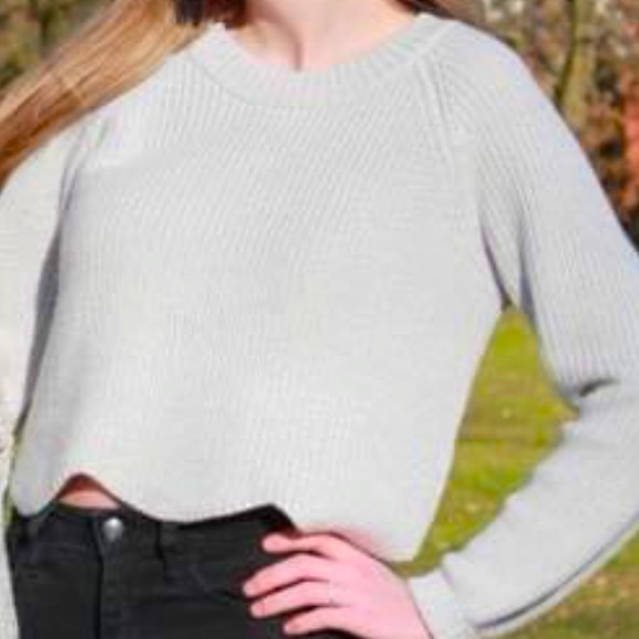 Wilfred Scalloped Edge Cropped Knit Sweater - Picture 3 of 5